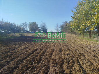 016-12-PAMAa Starší dom v obci Lukáčovce s veľkým pozemkom - 11