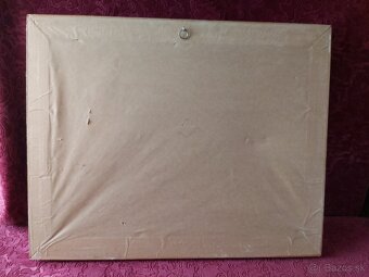 Székács 1954. - 11