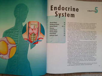 The Body - Organs, Body Systems, Functions - 11