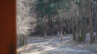 Rekreačná chata na predaj - Martin, Stráne - 11