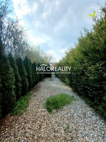 HALO reality - Predaj, rodinný dom Orešany, s veľkým pozemko - 11