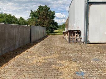 Podnikateľský objekt - 11