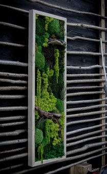 🌿 Machové obrazy na mieru – príroda vo vašom interiéri - 11