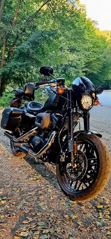 HARLEY DAVIDSON ROADSTER 1200 - 11