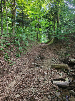 Chata na predaj v obci Šiba - 11