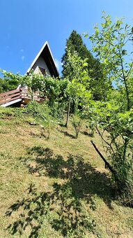 Rekreačná chata CHYŽNÉ - 11