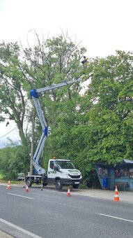 🌳 Arboristické služby od certifikovaných odborníkov 🌳 - 11