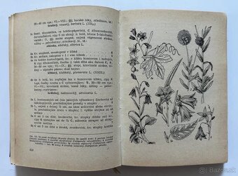 LIEČIVÉ BYLINKY + PRÍRODNÁ LIEČBA - 11