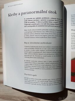 Duševní ochrana Jak stvořit pozitivní,obrannou ... - 11