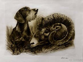 Ales Vaic - lesnicka tematiky - 11