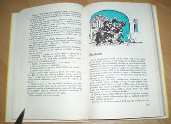 Detvianska nátura - 11