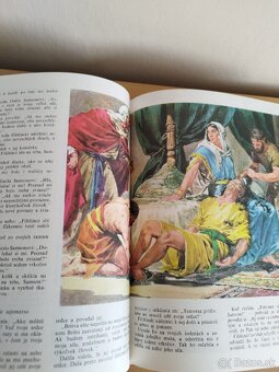 Ilustrovana Biblia. - 11