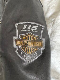Harley-Davidson Men's 115.Anni  Leather Jacket, Black - 11