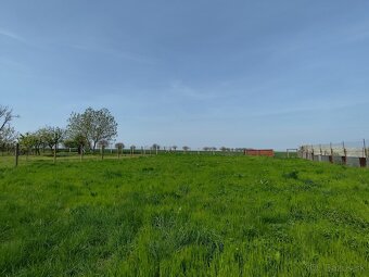 Dom na predaj - Kuraľany - 11