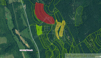 NOVÁ CENA  Rozsiahle lesné pozemky v Podpoľaní - 11