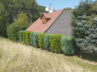 Predaj chalupy/ rod.domu v Detve, Piešť - 11