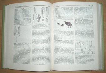 Poľovnícky náučný slovník - 11