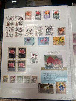 Námetová zbierka kvety - 11