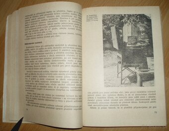 Včelarství - 11