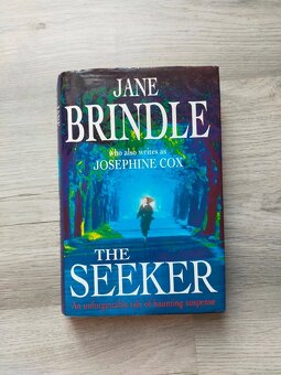 Anglická beletria - 11