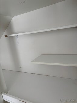 Cincile voliera - 11