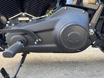 HARLEY DAVIDSON SOFTAIL CUSTOM - 11