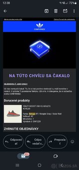 Yeezy Boost 350 V2, Nike LeBron 19 Bred - 11