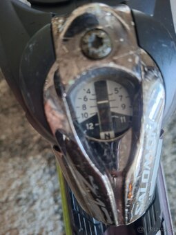 Lyze Salomon 162cm - 11