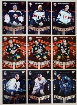 Hokejové kartičky TIPOS EXTRALIGA 2024/2025 - 1.seria /SETY/ - 11