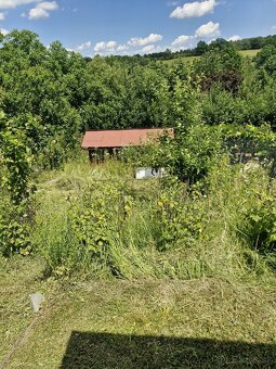 Kosenie trávy už od 0,06€/m² - 11