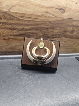 Stojan na trofeje - 11