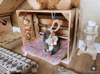 🧸 Minilop králiky🤎 - 11