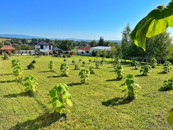 VRÁBLE - rodinný dom s pozemkom 2000 m2 - 11