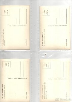 POHLADNICE NECKAR - VONDRACKOVA - 11