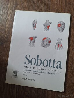 Sobotta Anatomický Atlas - 11
