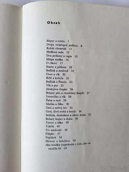 Lev Nikolajevič Tolstoj - Rozprávky a bájky - 11