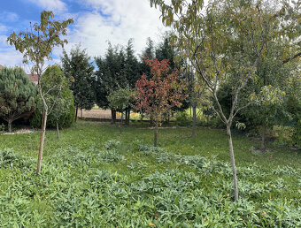 Priestranný 5-izbový rodinný dom s dvoma garážami a záhradou - 11