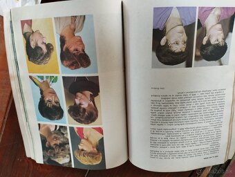 Magazín Rok s Evou - 11