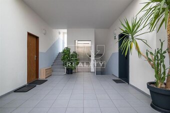 3iz. byt v centre mesta - 11