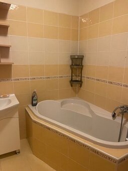 3 IZBOVÝ BYT S  2x  PARKOVACÍMI MIESTAMI V  CENE, VLASTNÉ KÚ - 11