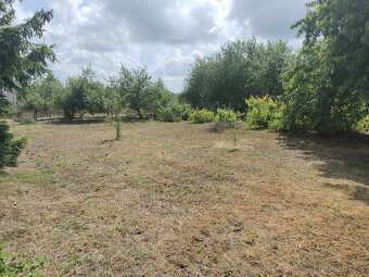 Predaj krásnej rovinatej záhrady s ovocnými stromami. - 11