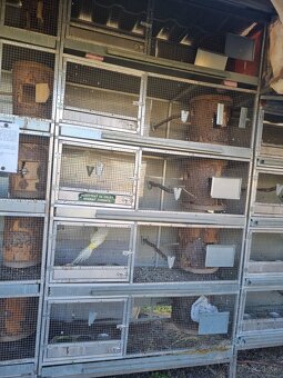 Voliéry..Klietky.Zajačník - 11