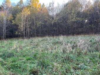 Predám pozemok 7802m2 - 11