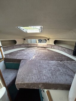 Obytna motorova jachta sea ray 290 sundancer - 11