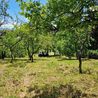 Na predaj rekreačný pozemok 2 920 m², Nové Mesto nad VáhomLo - 11