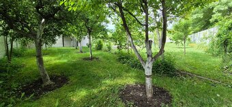 Priestranná záhrada v osobnom vlastníctve v Bratislave - Rač - 11