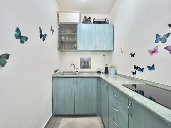 PREDAJ - Nebytových priestorov Dunajská Streda - 11