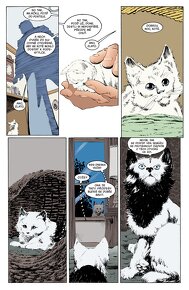Sandman Omnibus Limitovaná edice 250 ks , Neil Gaiman - 11