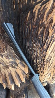 Blaser r8 sucess - 11