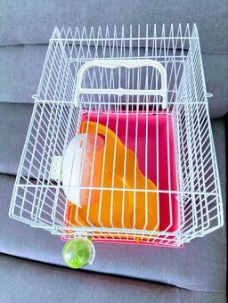 Klietka pre drobné cicavce - 11